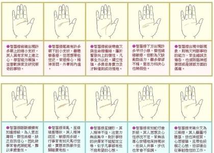 怎樣區(qū)分反抗線和雙智慧線