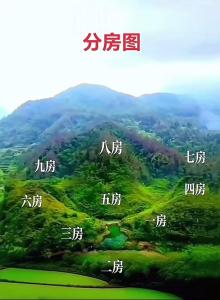 陳益峰：蓋房地基如何選擇