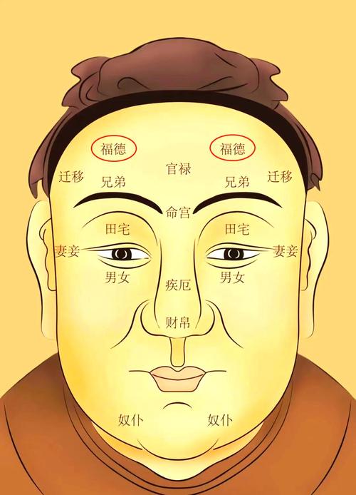 福德宮面相什么，福德宮面相解析