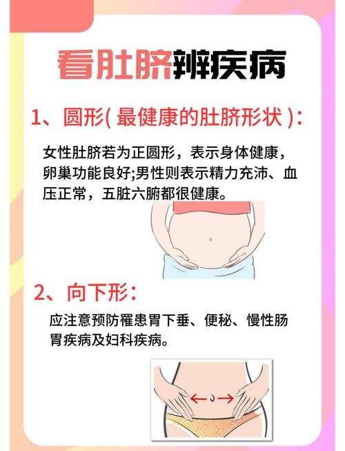 肚臍與人的智慧有關(guān)嗎