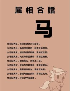 90年男馬的婚姻劫難 屬馬的男人斷頭婚好嗎