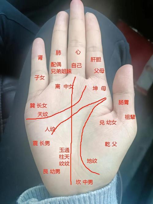 女生掌紋看命圖解右手 右手有鳳眼紋的女人能旺夫