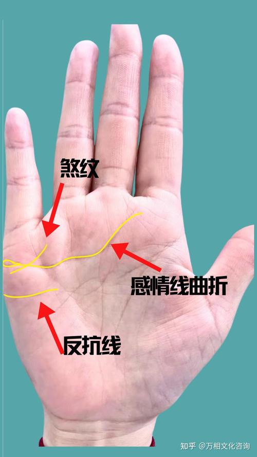在線測手相免費 窮人手相的特點