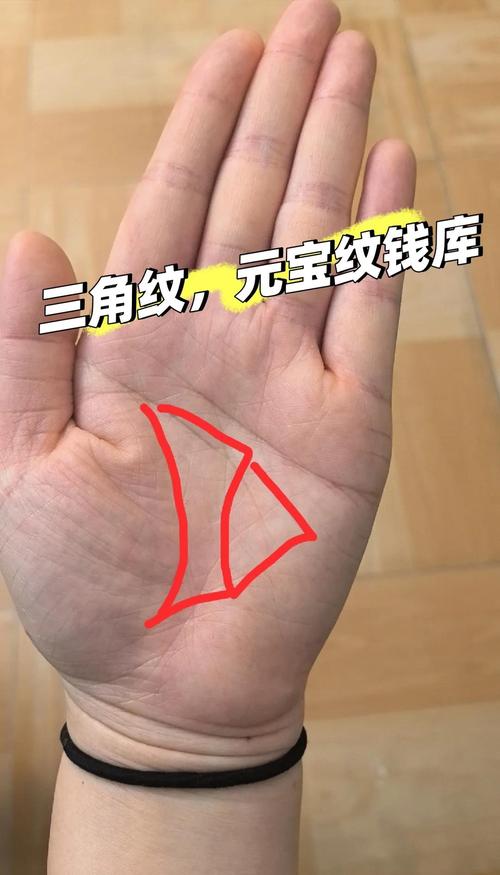 必發億萬富翁的三角形手相 富豪手相共同特征