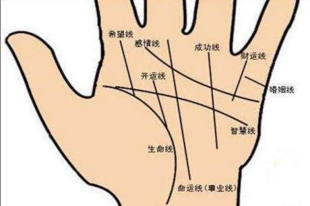 手相看財富 我們手上的9大財富紋