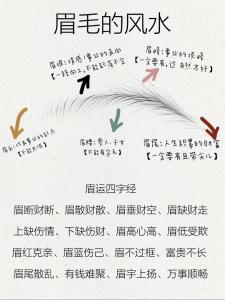 男人眉毛短代表什么 面相如何