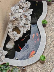 庭院池塘風水的布局講究