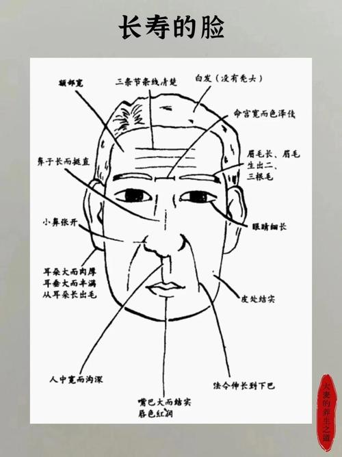面相解讀之富貴相長壽相