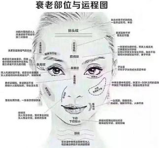 從面相看女人優劣好壞！