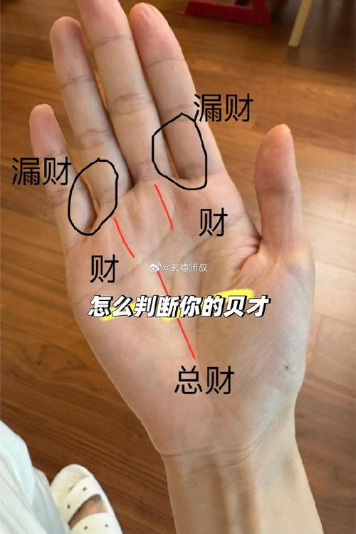 手指長短看事業財運