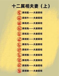 兩個(gè)人的性格分析 生肖男馬和女生肖豬配婚