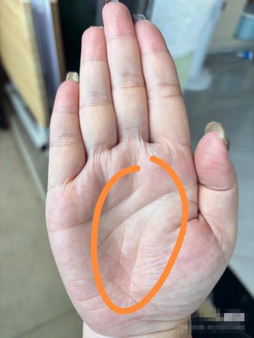 手相上有什么特征的人善于做生意