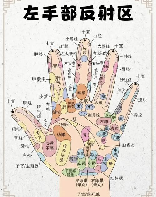 手相看健康狀況圖解了解你身體情況