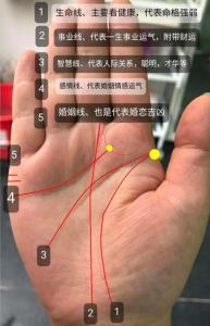 婚姻線分叉好不好 婚姻線分叉有什么寓意