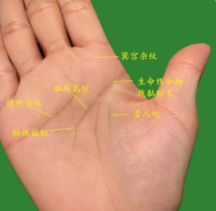 女人大富大貴七種手相 大富大貴的女人手相特征