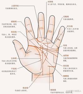 手掌三條線代表什么