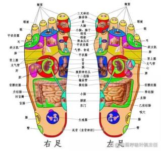 腳脖子有痣圖解詳細(xì)介紹