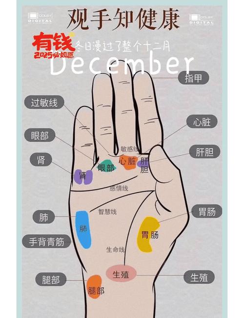 女人35歲后看哪邊手相 有什么說法
