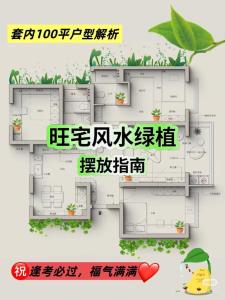 臥室風水詳解：臥室放什么植物好