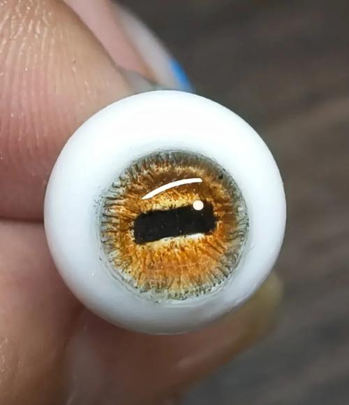 眼睛：羊眼
