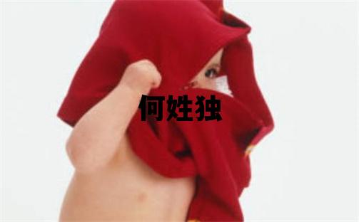 何姓獨特優美的男孩名字,取什么名字好