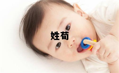 姓荀叫什么名字好 姓荀的女孩吉利的名字