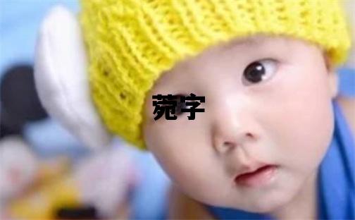 菀字取名的寓意和含義 女孩用菀字取名