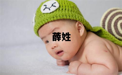 薛姓有新意的男孩名字