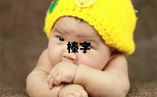 榛字五行屬什么 榛字取名寓意男孩