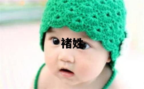 褚姓優(yōu)美的男孩名字,取什么名字好