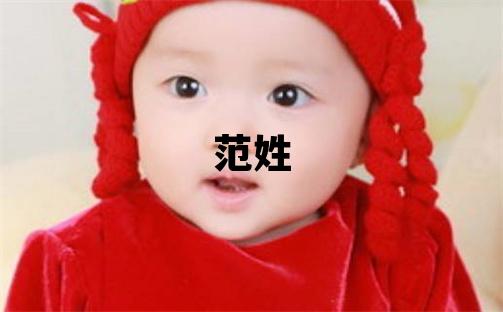 范姓取名洋氣的男寶寶名字