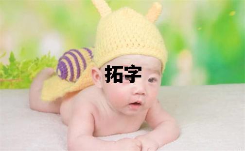 拓字取名的寓意 拓字取名的寓意男孩