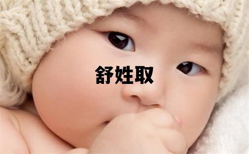 舒姓取名優美的男寶寶名字