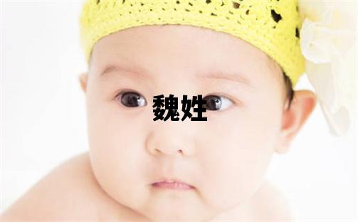 魏姓有詩(shī)意的男孩名字