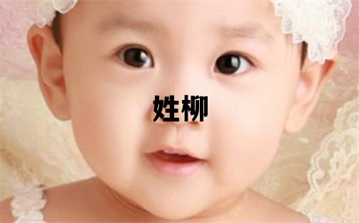 姓柳叫什么名字好 姓柳的男孩有靈氣的名字