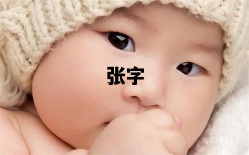 張字取名的寓意和含義 男孩用張字取名