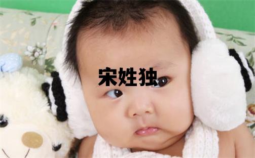 宋姓獨(dú)特優(yōu)美的女孩名字,取什么名字好