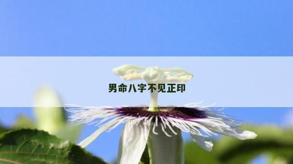 男命八字不見(jiàn)正印