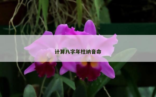 計(jì)算八字年柱納音命
