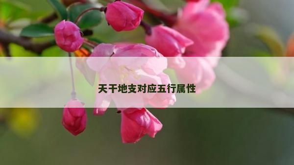 天干地支對應(yīng)五行屬性