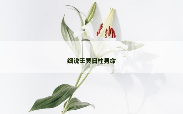 細(xì)說壬寅日柱男命