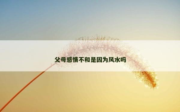 父母感情不和是因為風(fēng)水嗎