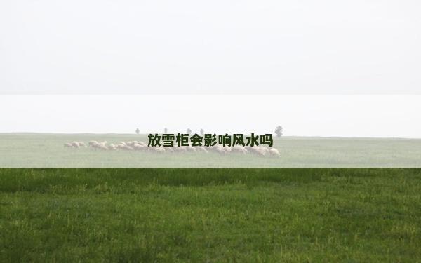 放雪柜會影響風(fēng)水嗎
