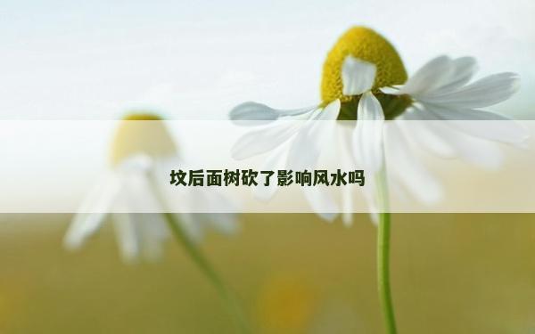 墳后面樹(shù)砍了影響風(fēng)水嗎