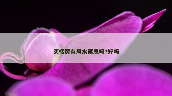 買(mǎi)樓房有風(fēng)水禁忌嗎?好嗎