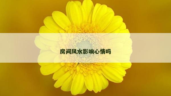 房間風(fēng)水影響心情嗎