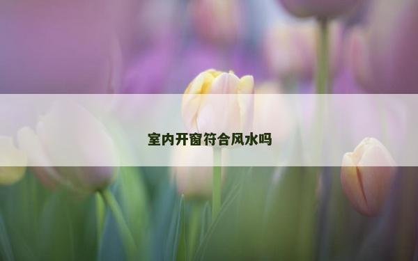 室內開窗符合風水嗎