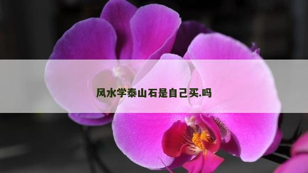 風水學泰山石是自己買.嗎