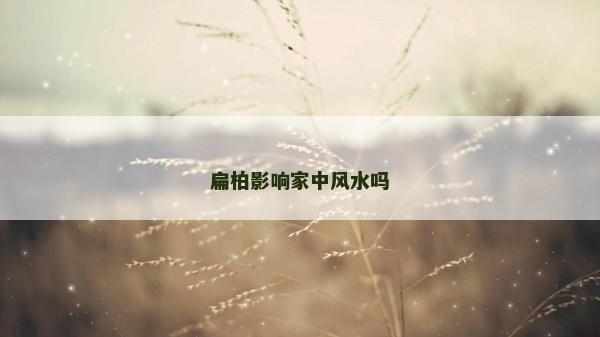 扁柏影響家中風水嗎