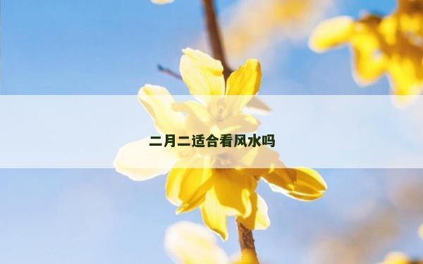 二月二適合看風水嗎 二月二適合看風水嗎